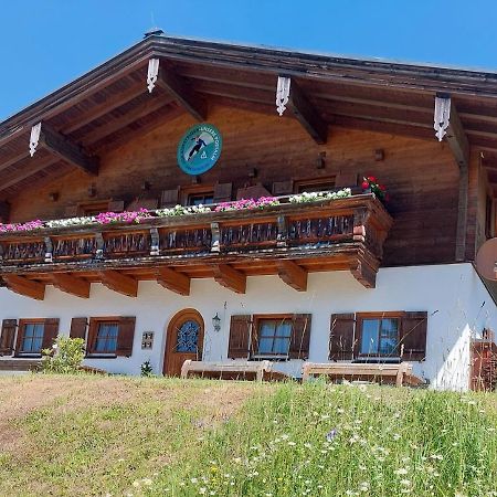 Апарт отель Haus Obweg - Postalm Халляйн Экстерьер фото