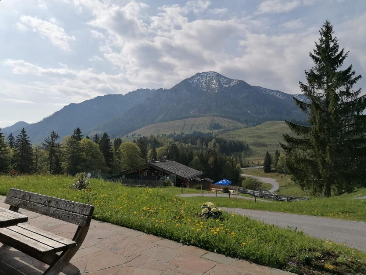 Апарт отель Haus Obweg - Postalm Халляйн Экстерьер фото