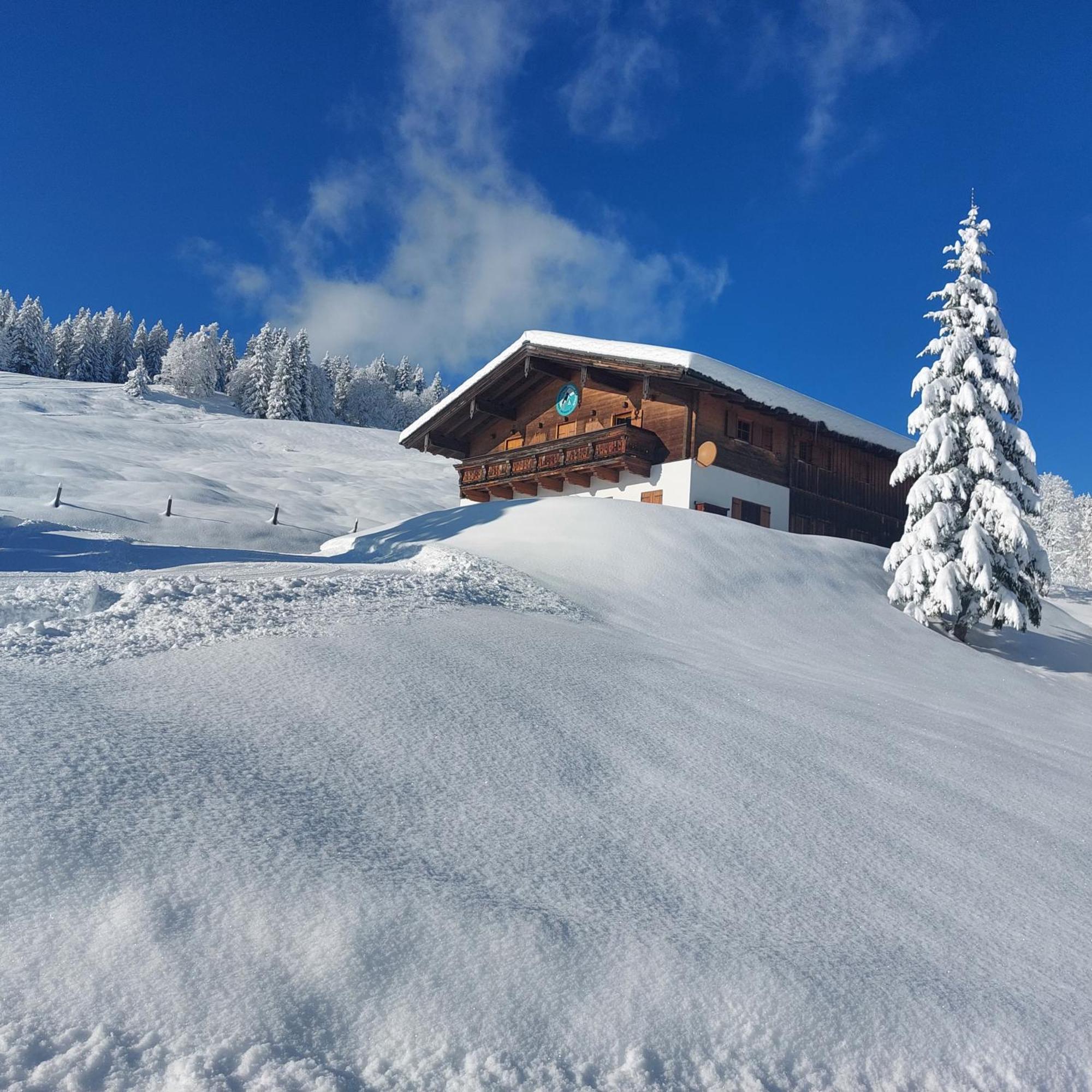 Апарт отель Haus Obweg - Postalm Халляйн Экстерьер фото
